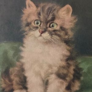 Purrrrr 🐾 Happy Poshing